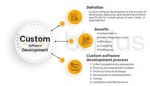 custom software development