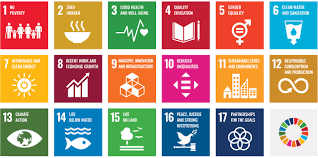 sdg goals