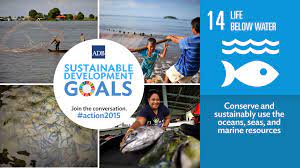 sustainable development goal 14