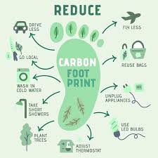 eco friendly practices in day to day life