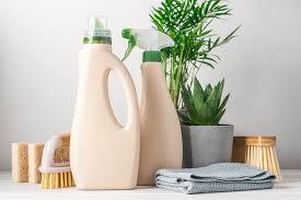 eco friendly household products