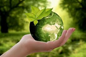 eco friendly lifestyle